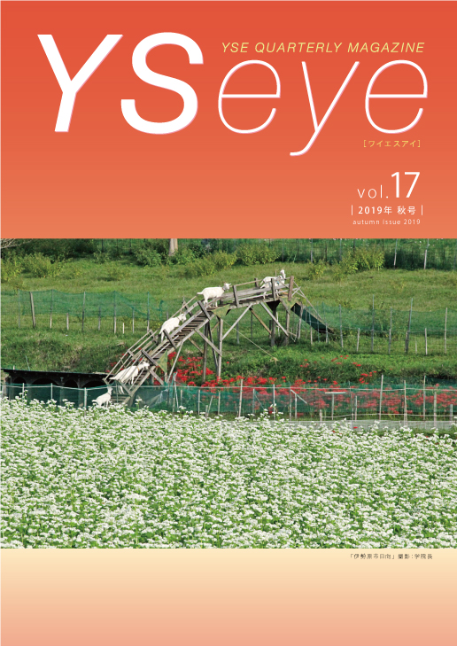 YSeye17号