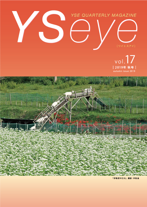 YSeye17